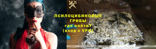 мяу мяу мука Баксан