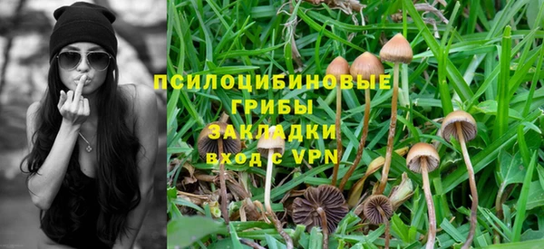 мяу мяу мука Баксан