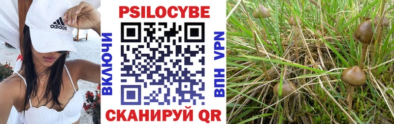 Псилоцибиновые грибы мухоморы  где купить наркоту  Нязепетровск 