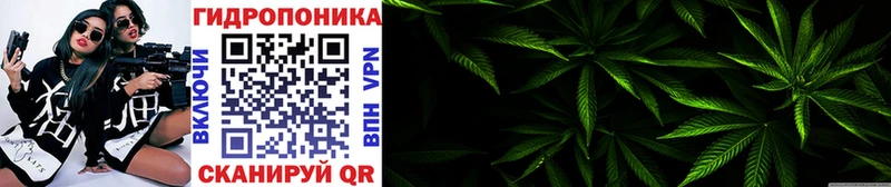 кракен как войти  Нязепетровск  дарк нет как зайти  Каннабис MAZAR 